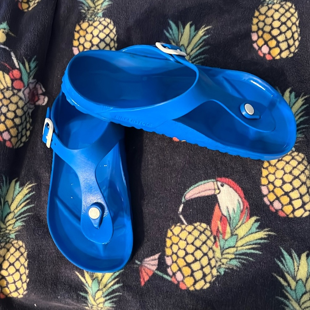 EVA Gizah Birkenstocks